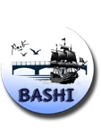 BASHIserver